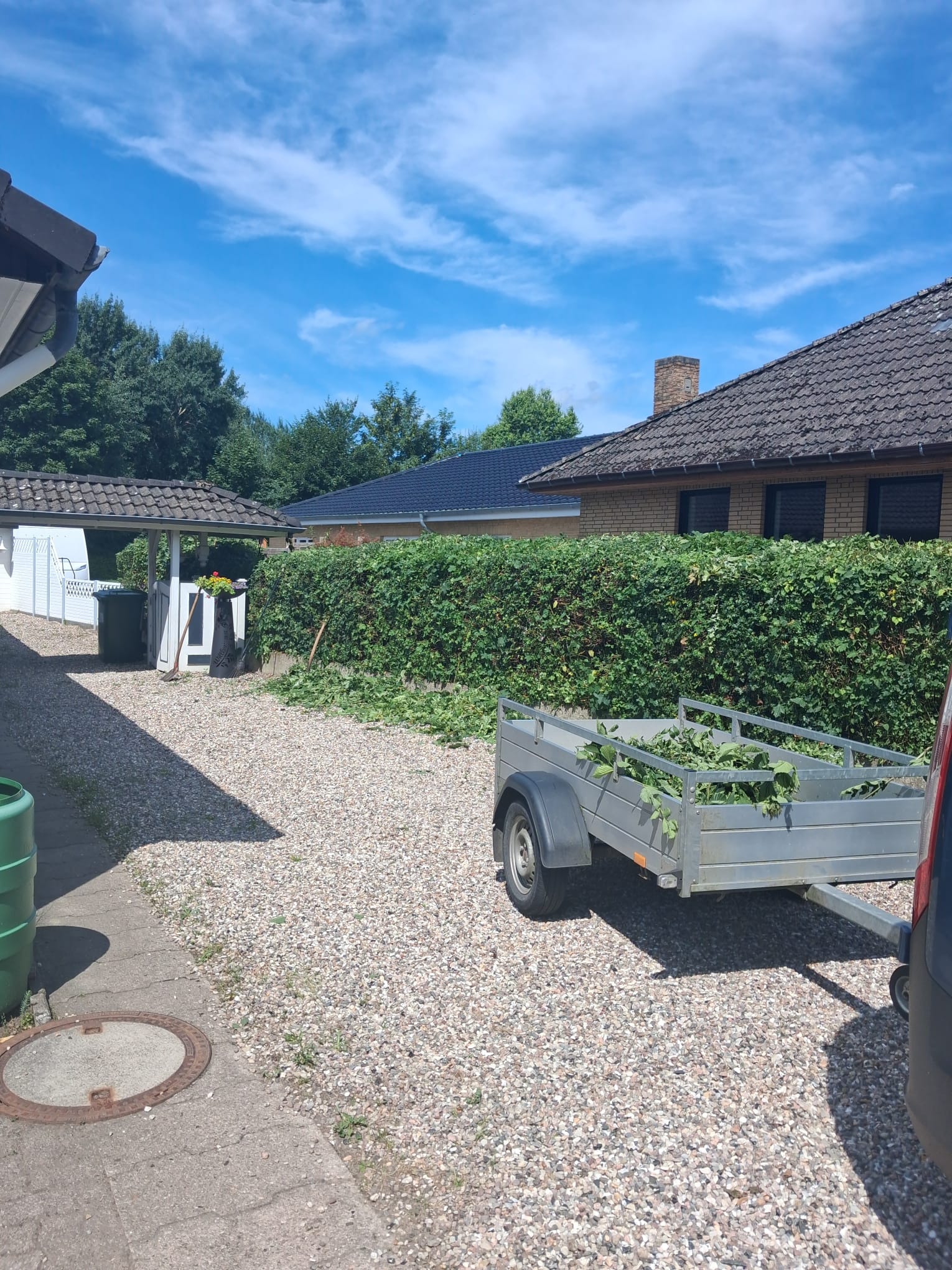Hecken- & Rückschnitt